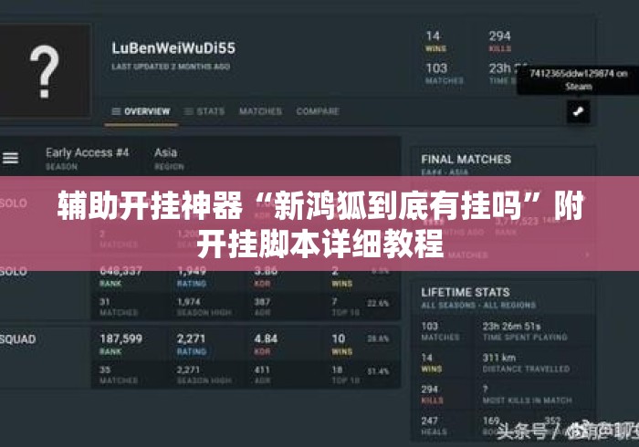 辅助开挂神器“新鸿狐到底有挂吗”附开挂脚本详细教程