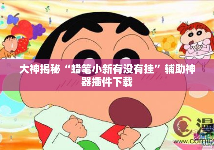大神揭秘“蜡笔小新有没有挂”辅助神器插件下载