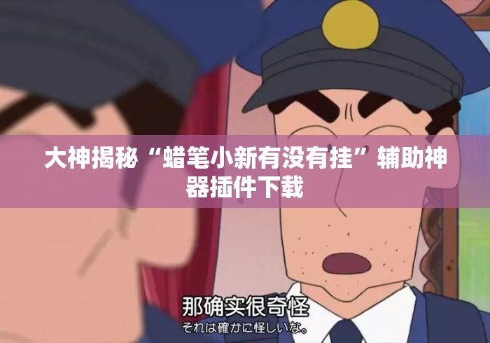 大神揭秘“蜡笔小新有没有挂	”辅助神器插件下载
