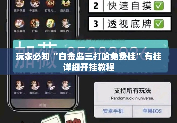 玩家必知“白金岛三打哈免费挂”有挂详细开挂教程