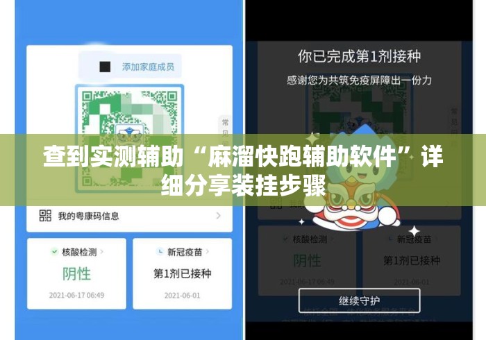 查到实测辅助“麻溜快跑辅助软件”详细分享装挂步骤