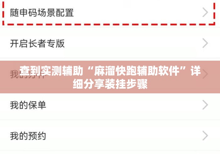 查到实测辅助“麻溜快跑辅助软件”详细分享装挂步骤