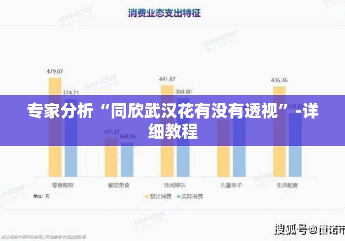 专家分析“同欣武汉花有没有透视”-详细教程
