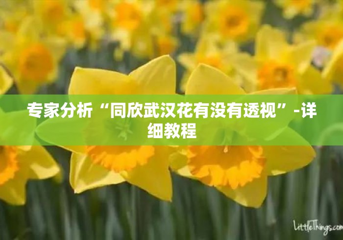 专家分析“同欣武汉花有没有透视”-详细教程