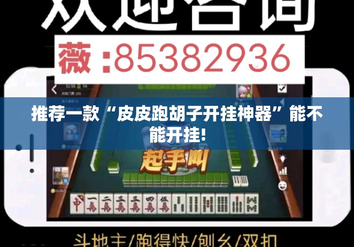 推荐一款“皮皮跑胡子开挂神器”能不能开挂!