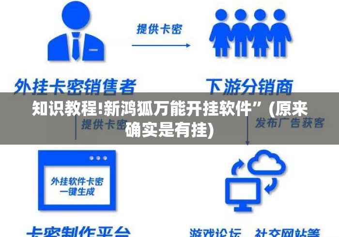 知识教程!新鸿狐万能开挂软件”(原来确实是有挂)