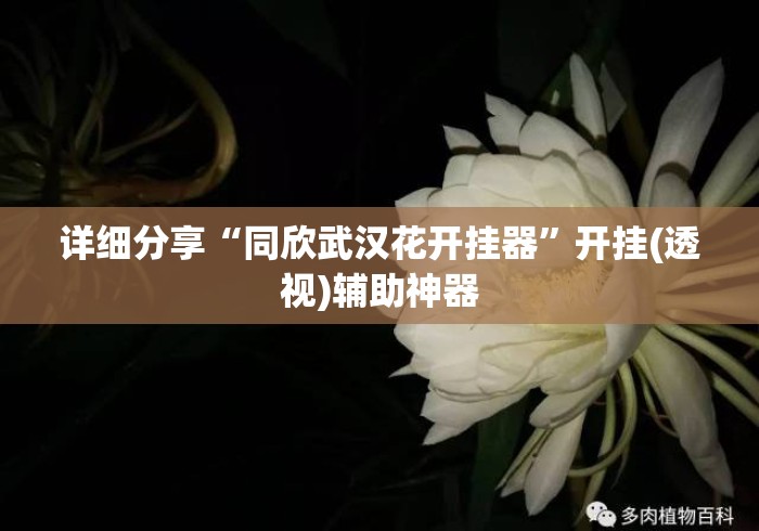 详细分享“同欣武汉花开挂器”开挂(透视)辅助神器
