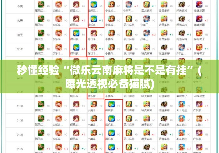 秒懂经验“微乐云南麻将是不是有挂	”(曝光透视必备猫腻)