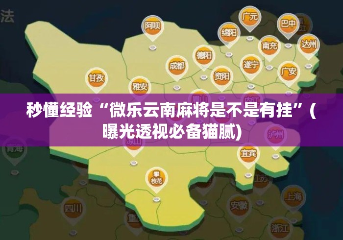 秒懂经验“微乐云南麻将是不是有挂”(曝光透视必备猫腻)