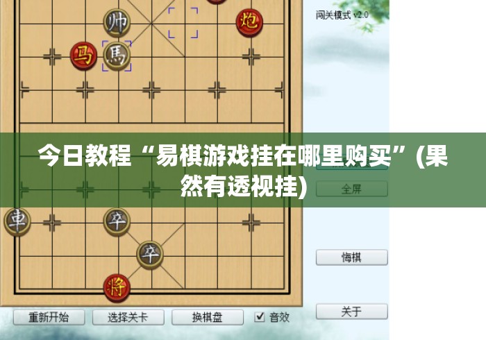 今日教程“易棋游戏挂在哪里购买”(果然有透视挂)