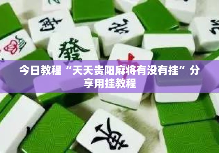 今日教程“天天贵阳麻将有没有挂”分享用挂教程