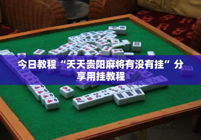 今日教程“天天贵阳麻将有没有挂	”分享用挂教程