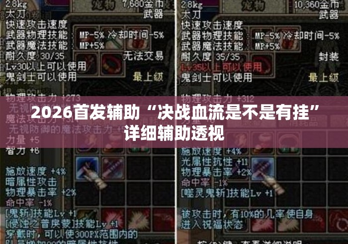 2026首发辅助“决战血流是不是有挂”详细辅助透视