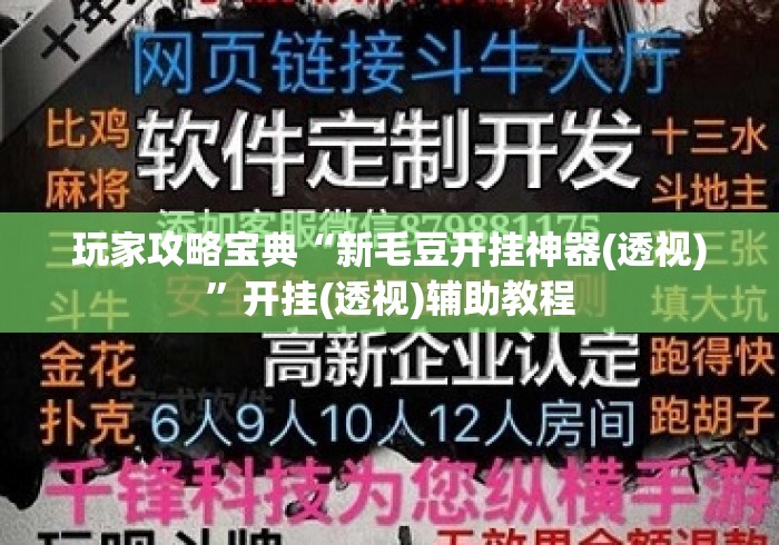 玩家攻略宝典“新毛豆开挂神器(透视)”开挂(透视)辅助教程