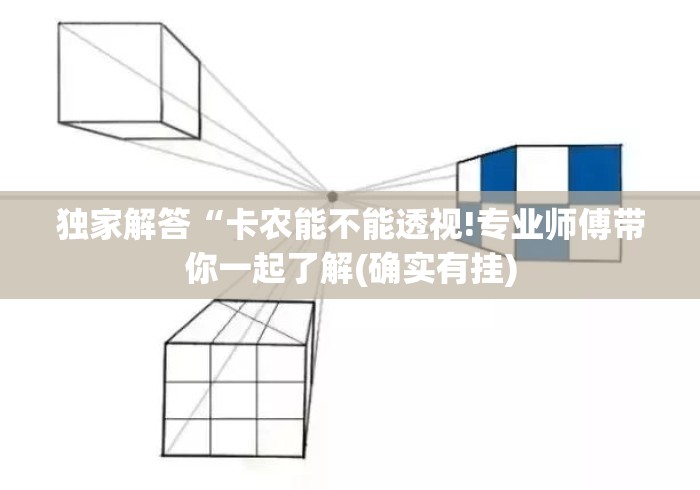 独家解答“卡农能不能透视!专业师傅带你一起了解(确实有挂) 独家解答“卡农能不能透视!专业师傅带你一起了解(确实有挂)