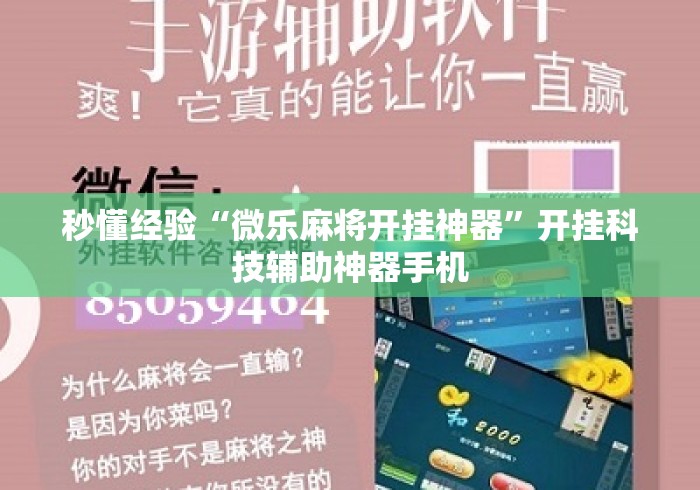 秒懂经验“微乐麻将开挂神器”开挂科技辅助神器手机