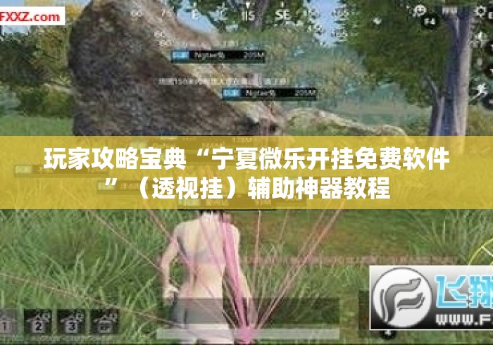 玩家攻略宝典“宁夏微乐开挂免费软件	”（透视挂）辅助神器教程