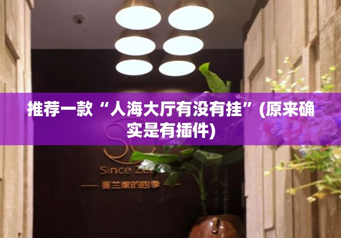 推荐一款“人海大厅有没有挂	”(原来确实是有插件)