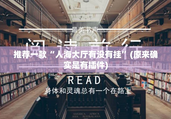 推荐一款“人海大厅有没有挂”(原来确实是有插件)
