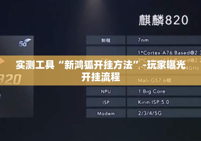 实测工具“新鸿狐开挂方法”-玩家曝光开挂流程