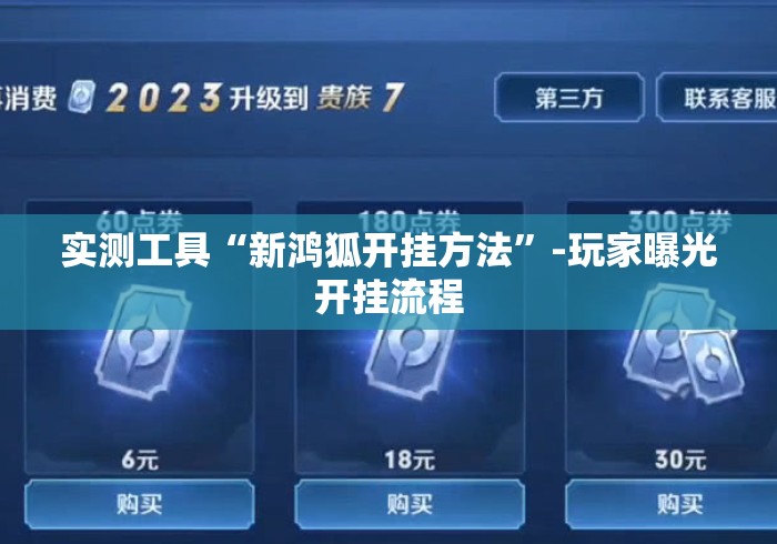 实测工具“新鸿狐开挂方法”-玩家曝光开挂流程