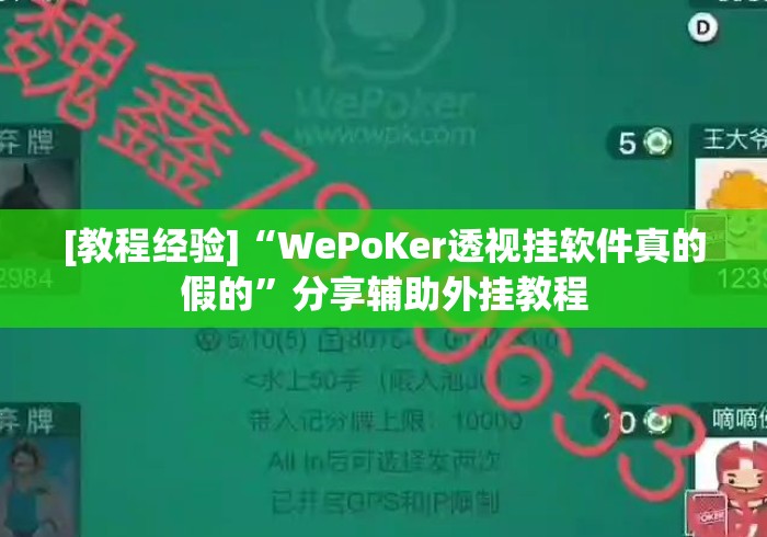 [教程经验]“WePoKer透视挂软件真的假的”分享辅助外挂教程