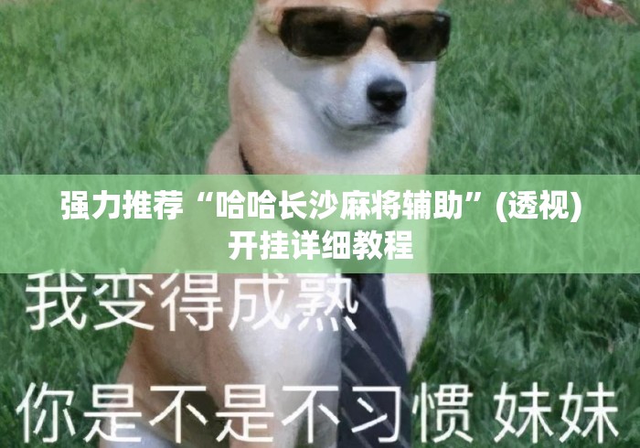 强力推荐“哈哈长沙麻将辅助”(透视)开挂详细教程
