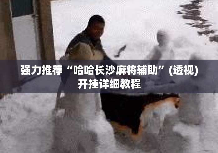 强力推荐“哈哈长沙麻将辅助”(透视)开挂详细教程