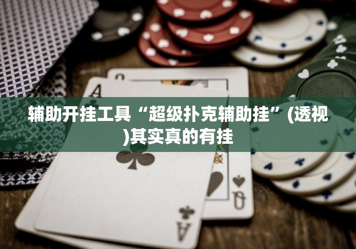辅助开挂工具“超级扑克辅助挂”(透视)其实真的有挂