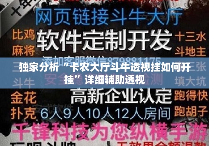 独家分析“卡农大厅斗牛透视挂如何开挂”详细辅助透视