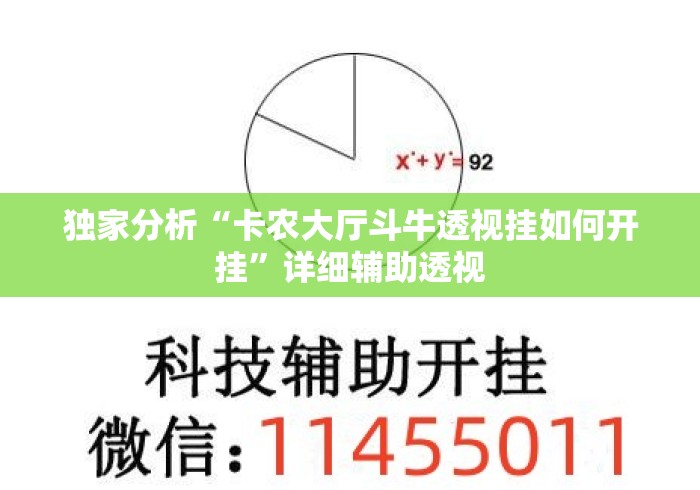 独家分析“卡农大厅斗牛透视挂如何开挂	”详细辅助透视