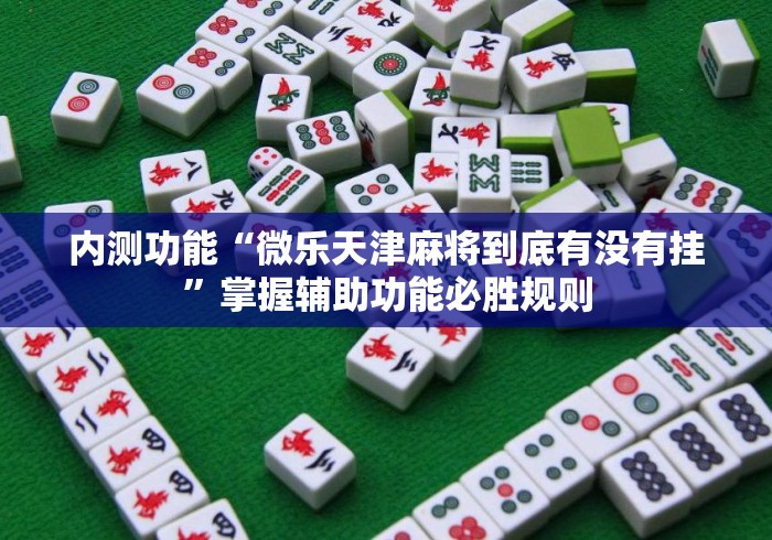 内测功能“微乐天津麻将到底有没有挂”掌握辅助功能必胜规则