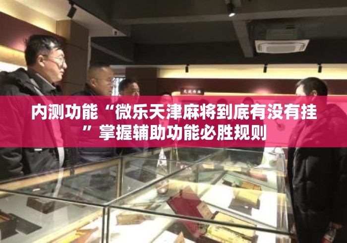 内测功能“微乐天津麻将到底有没有挂	”掌握辅助功能必胜规则