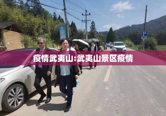 教程开挂辅助:“青鸟大厅拼三张透视”详细辅助软件教程