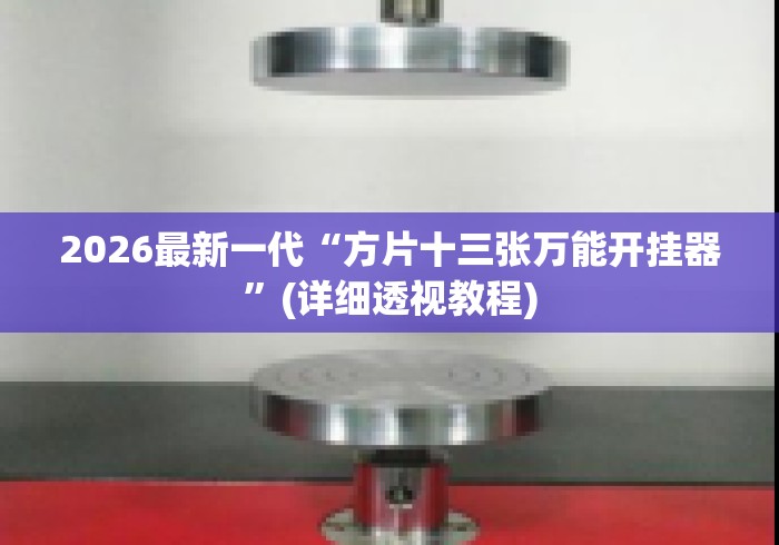 2026最新一代“方片十三张万能开挂器”(详细透视教程)