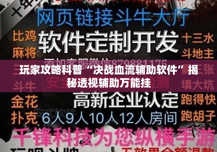 玩家攻略科普“决战血流辅助软件	”揭秘透视辅助万能挂