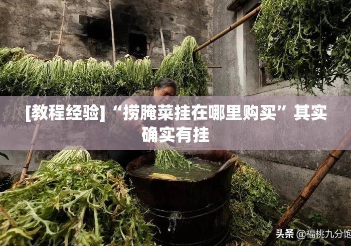 [教程经验]“捞腌菜挂在哪里购买”其实确实有挂