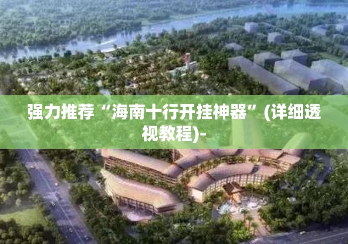 强力推荐“海南十行开挂神器”(详细透视教程)-