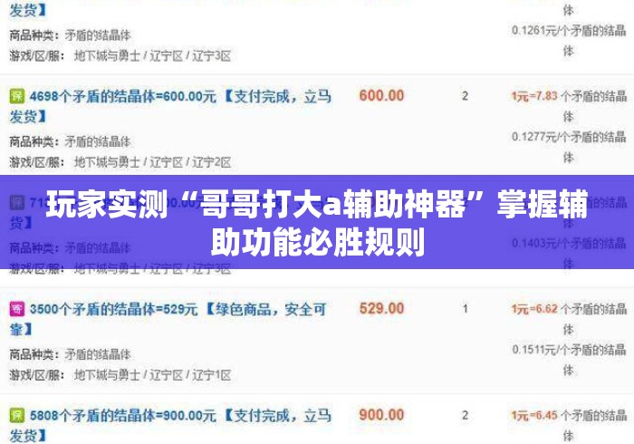 玩家实测“哥哥打大a辅助神器	”掌握辅助功能必胜规则