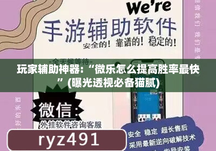 玩家辅助神器:“微乐怎么提高胜率最快”(曝光透视必备猫腻)