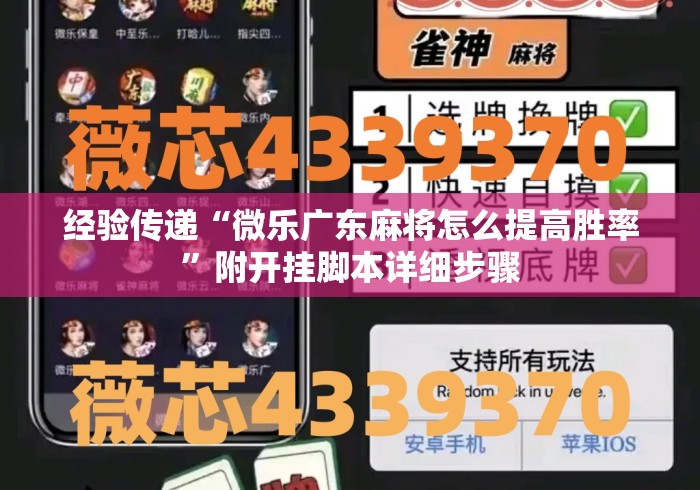 经验传递“微乐广东麻将怎么提高胜率”附开挂脚本详细步骤