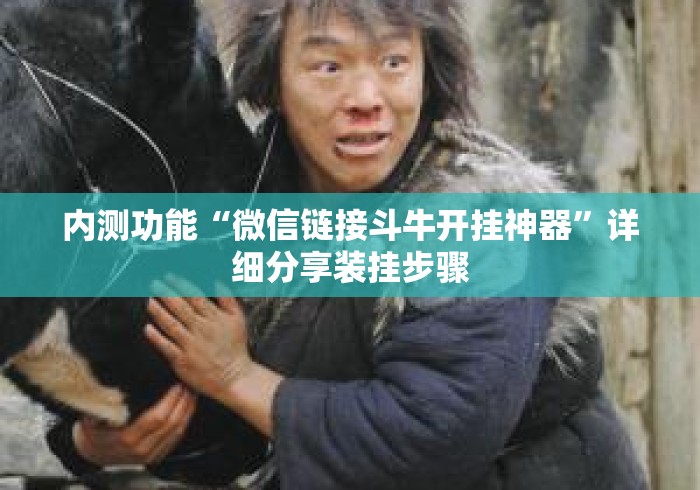 内测功能“微信链接斗牛开挂神器”详细分享装挂步骤