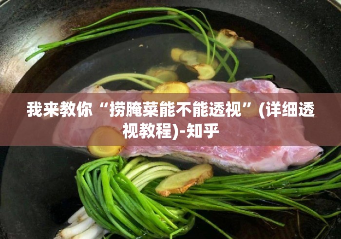 我来教你“捞腌菜能不能透视”(详细透视教程)-知乎