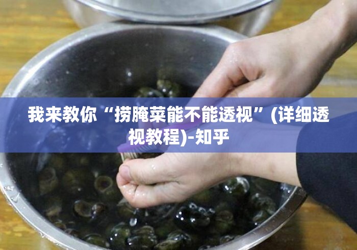 我来教你“捞腌菜能不能透视	”(详细透视教程)-知乎