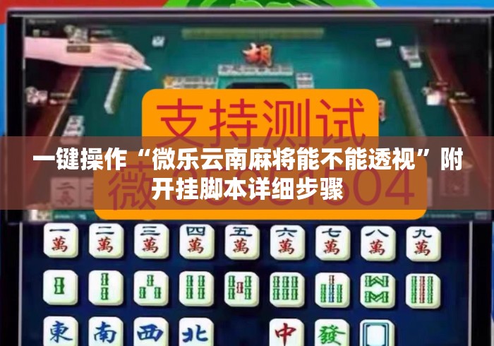 一键操作“微乐云南麻将能不能透视	”附开挂脚本详细步骤