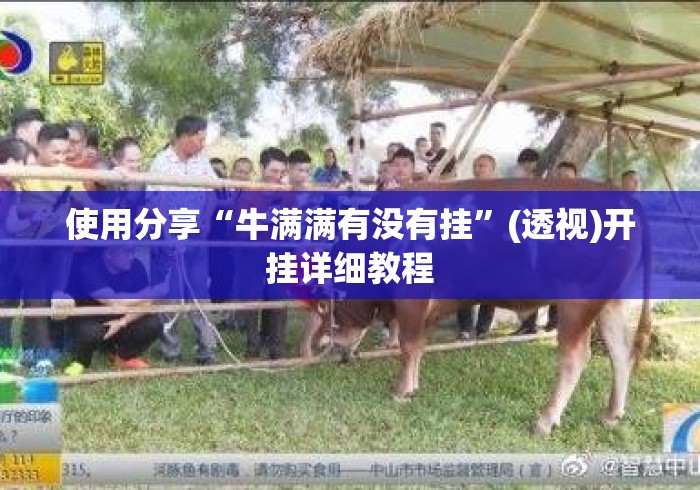 使用分享“牛满满有没有挂	”(透视)开挂详细教程