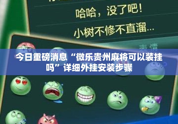 今日重磅消息“微乐贵州麻将可以装挂吗”详细外挂安装步骤