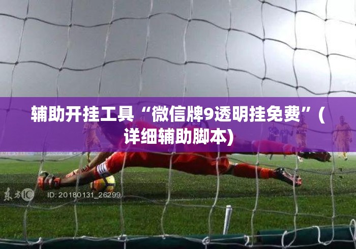 辅助开挂工具“微信牌9透明挂免费	”(详细辅助脚本)