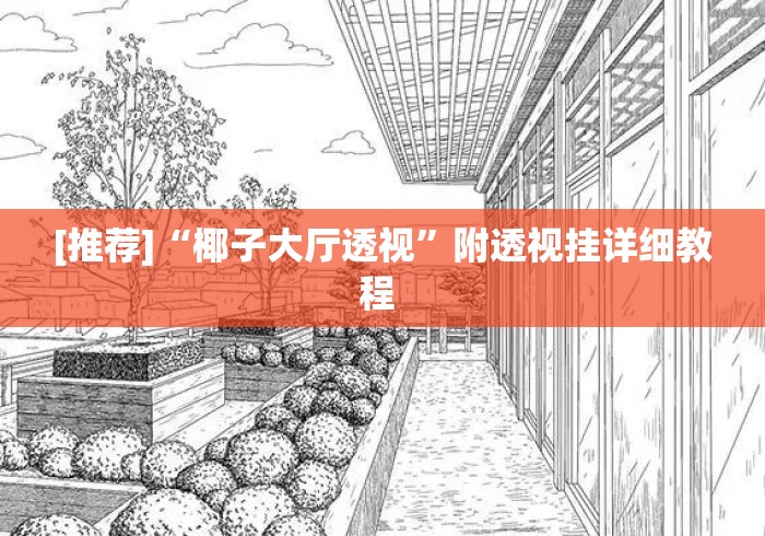 [推荐]“椰子大厅透视”附透视挂详细教程 