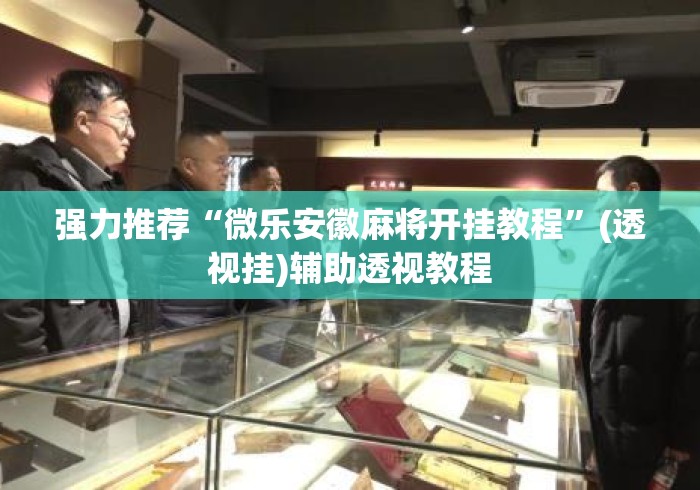 强力推荐“微乐安徽麻将开挂教程”(透视挂)辅助透视教程
